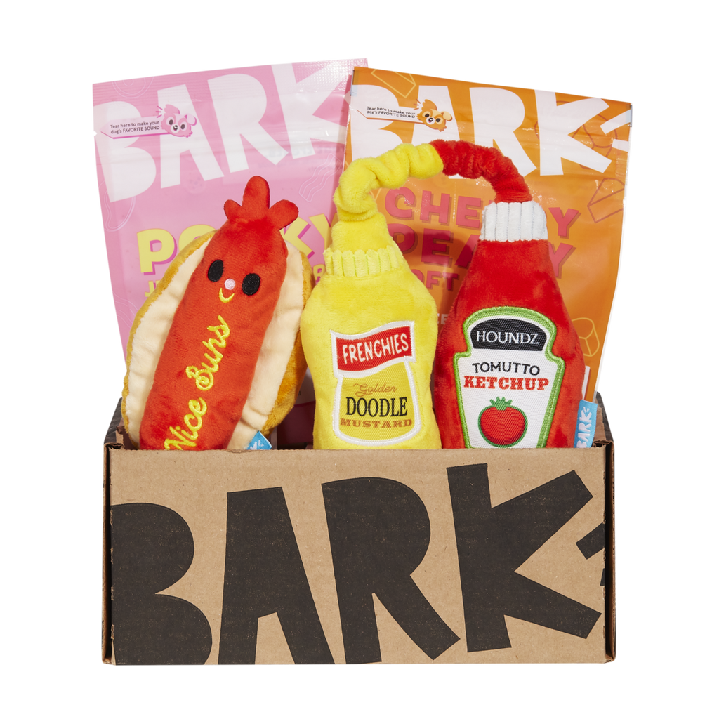 BarkBox One Month Gift Box